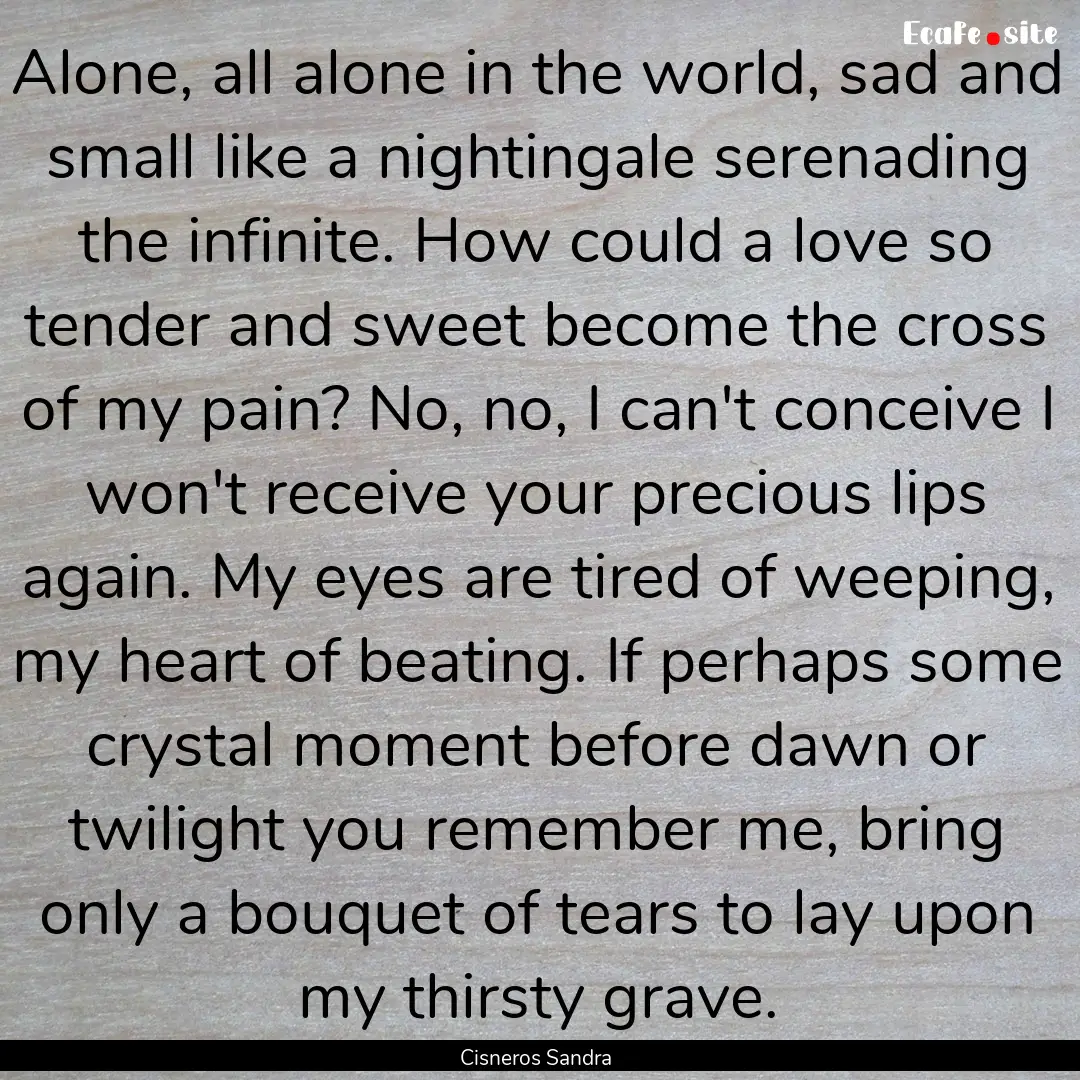 Alone, all alone in the world, sad and small.... : Quote by Cisneros Sandra