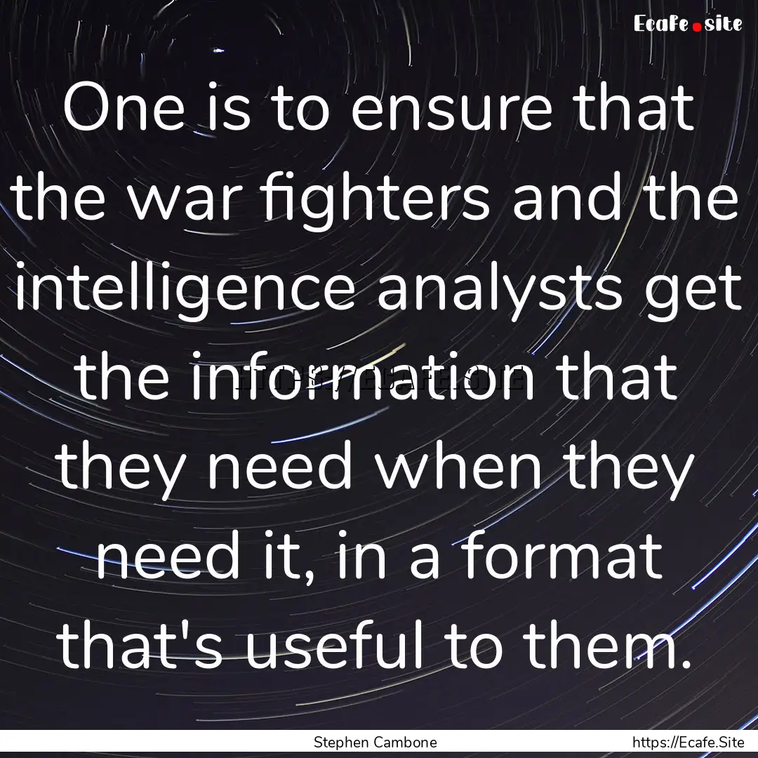 One is to ensure that the war fighters and.... : Quote by Stephen Cambone