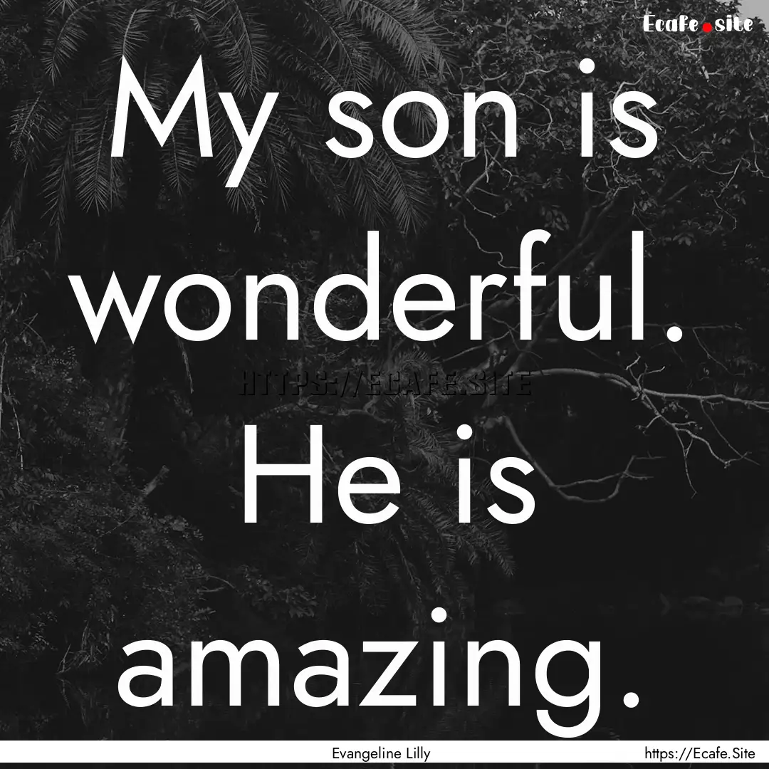 My son is wonderful. He is amazing. : Quote by Evangeline Lilly