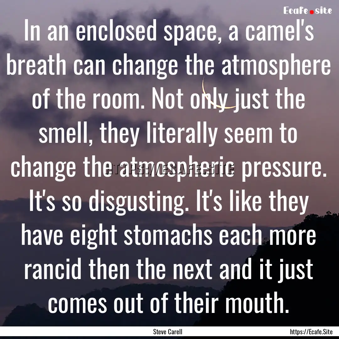 In an enclosed space, a camel's breath can.... : Quote by Steve Carell