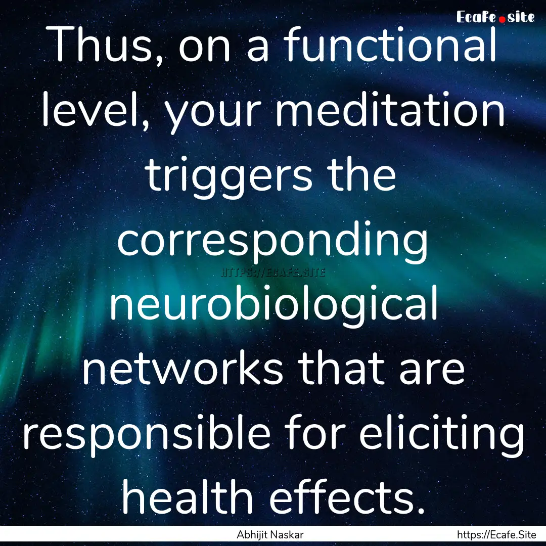 Thus, on a functional level, your meditation.... : Quote by Abhijit Naskar