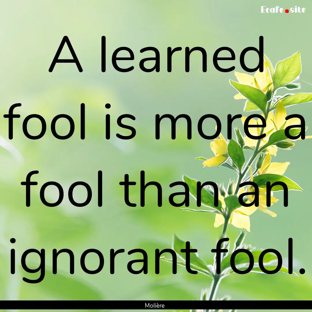 A learned fool is more a fool than an ignorant.... : Quote by Molière