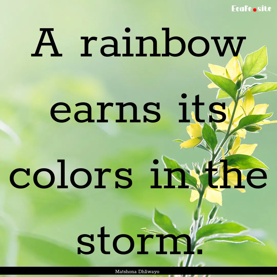 A rainbow earns its colors in the storm. : Quote by Matshona Dhliwayo