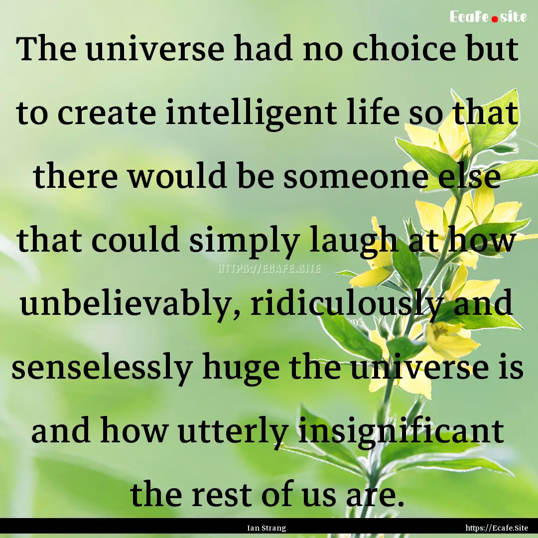 The universe had no choice but to create.... : Quote by Ian Strang