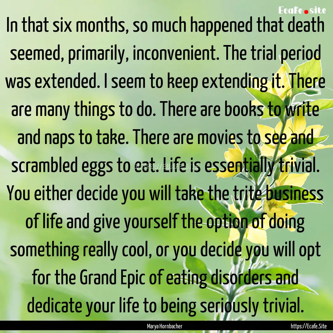 In that six months, so much happened that.... : Quote by Marya Hornbacher