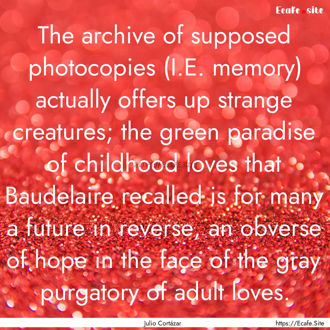 The archive of supposed photocopies (I.E..... : Quote by Julio Cortázar