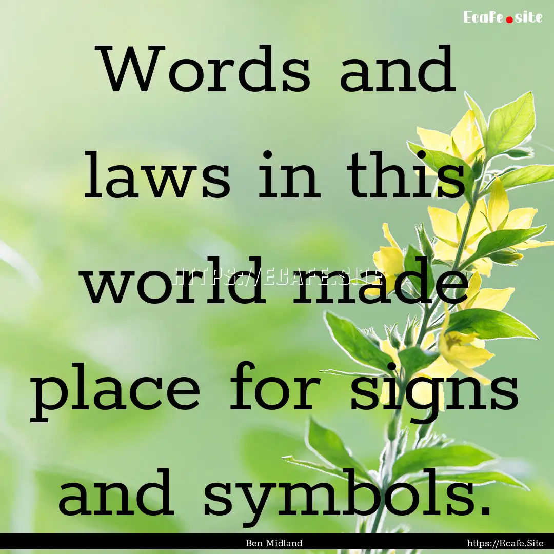 Words and laws in this world made place for.... : Quote by Ben Midland