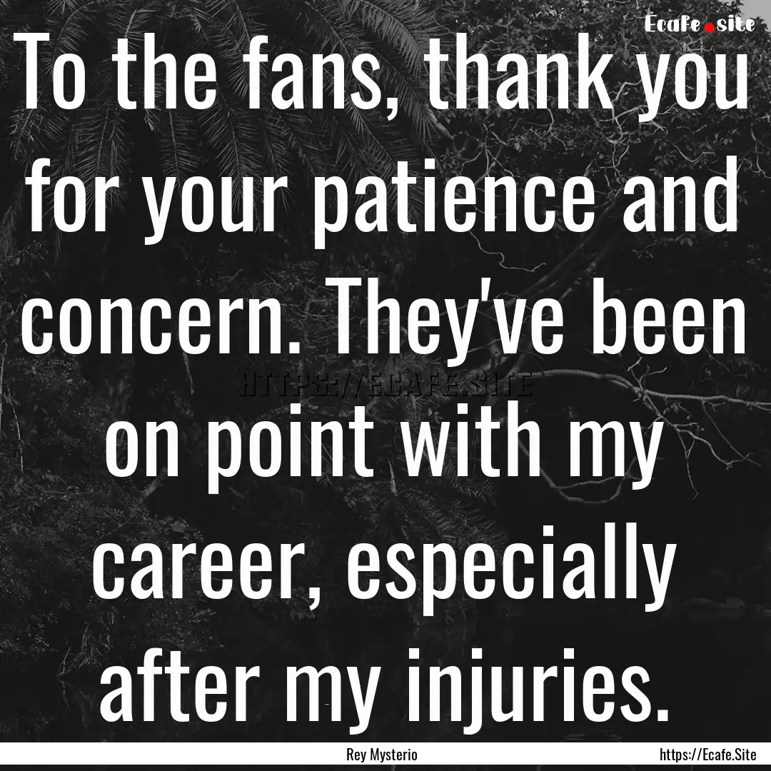 To the fans, thank you for your patience.... : Quote by Rey Mysterio