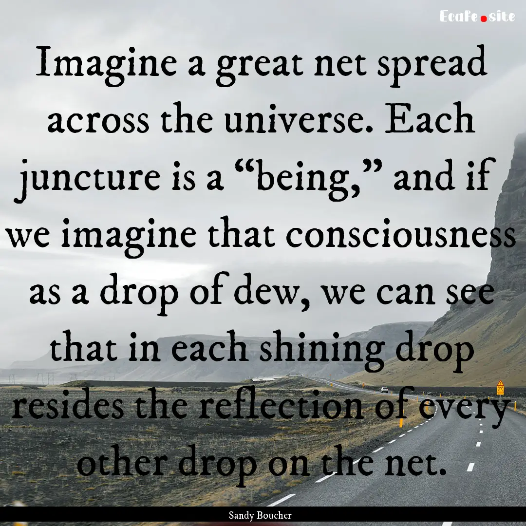 Imagine a great net spread across the universe..... : Quote by Sandy Boucher