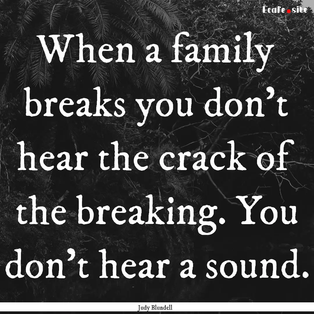 When a family breaks you don't hear the crack.... : Quote by Judy Blundell