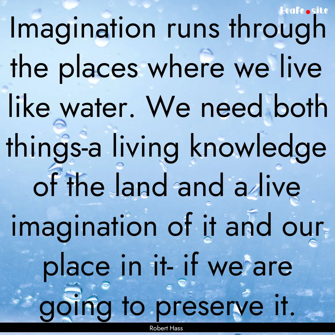 Imagination runs through the places where.... : Quote by Robert Hass