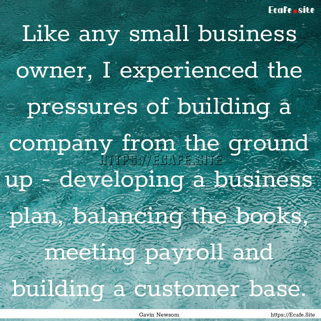 Like any small business owner, I experienced.... : Quote by Gavin Newsom