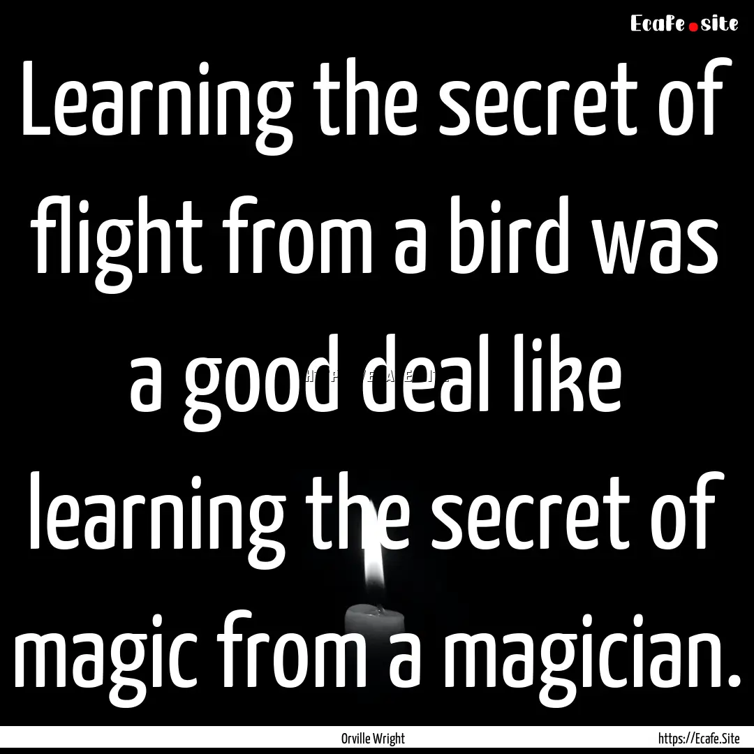 Learning the secret of flight from a bird.... : Quote by Orville Wright