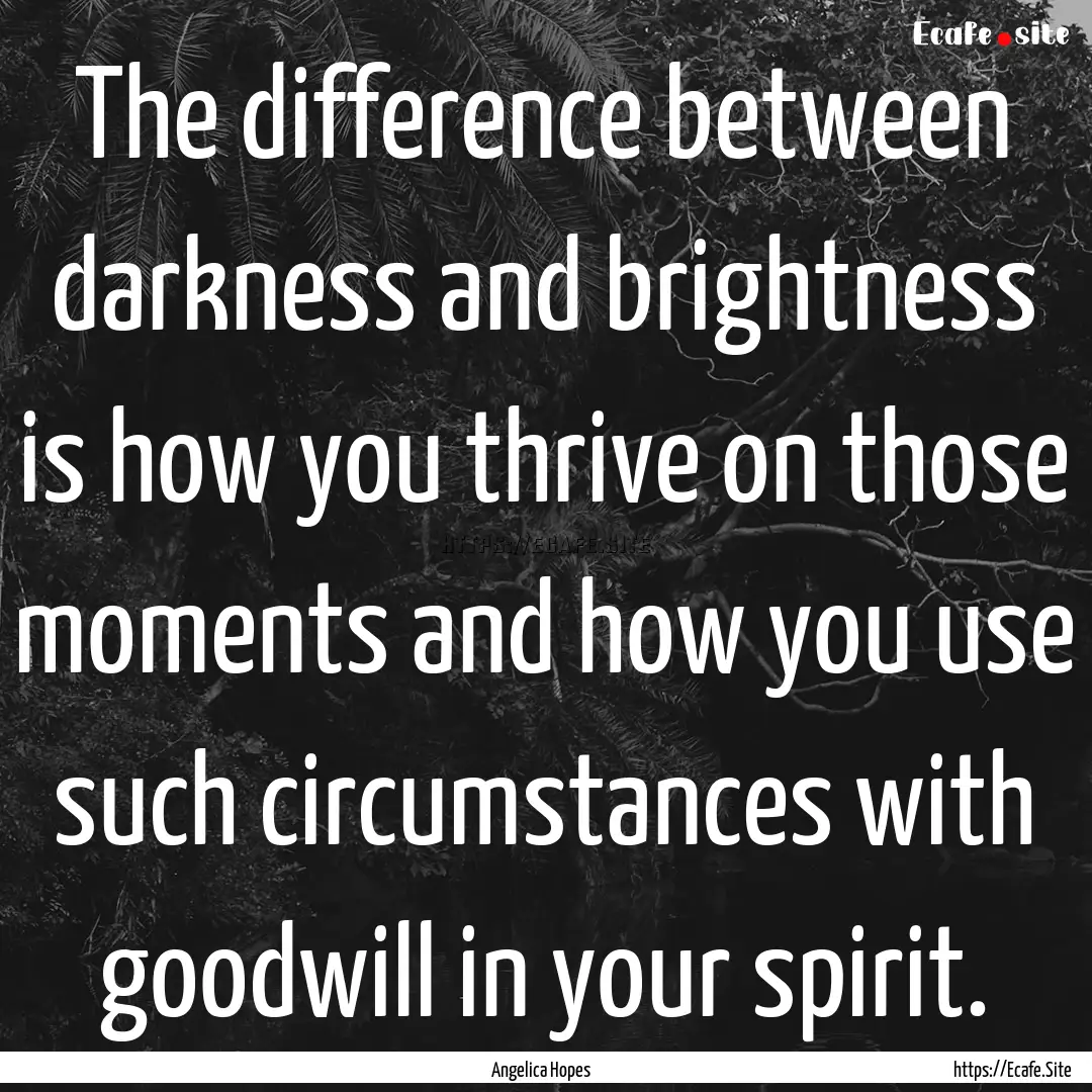 The difference between darkness and brightness.... : Quote by Angelica Hopes