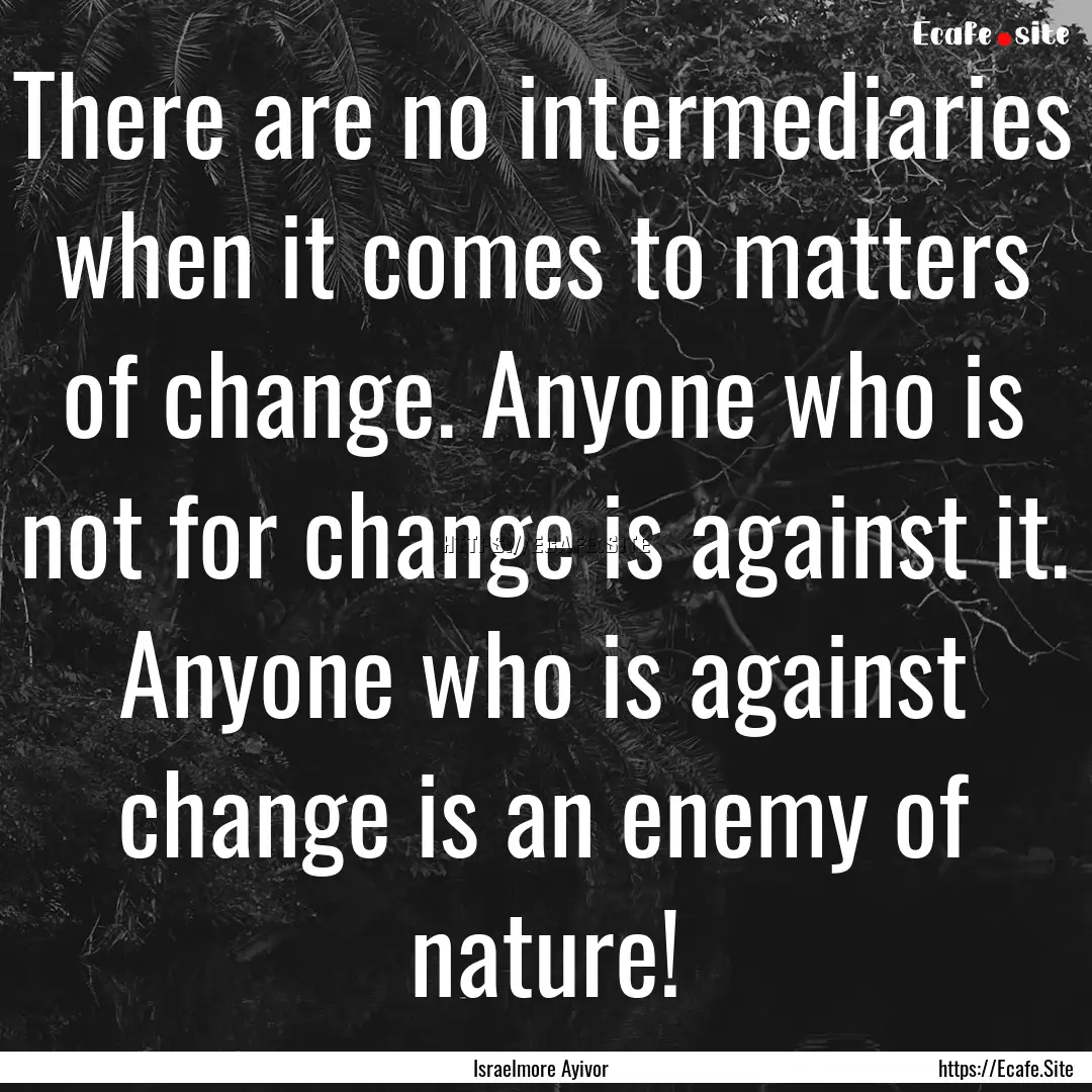 There are no intermediaries when it comes.... : Quote by Israelmore Ayivor