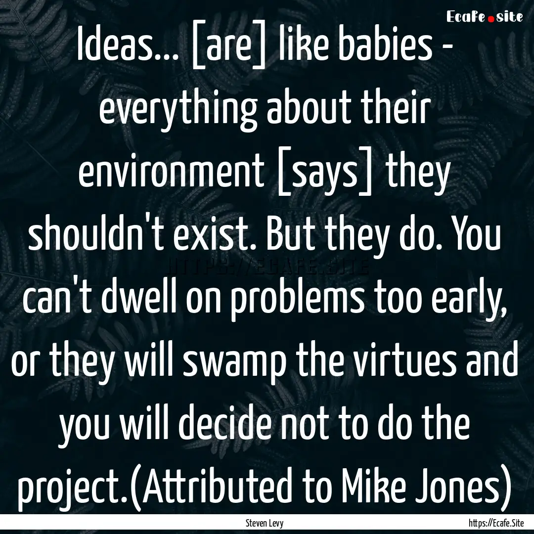 Ideas... [are] like babies - everything about.... : Quote by Steven Levy