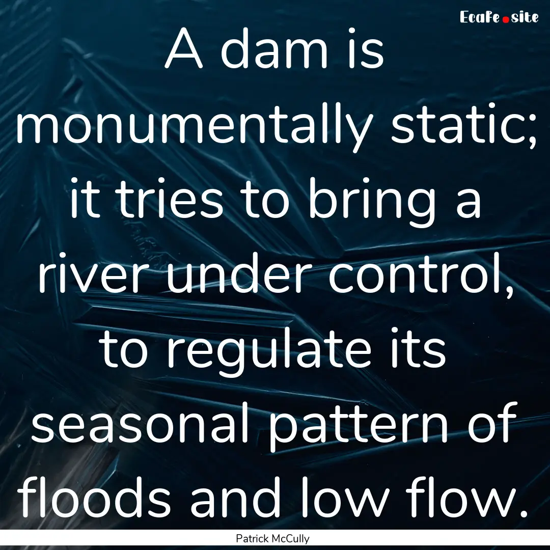 A dam is monumentally static; it tries to.... : Quote by Patrick McCully