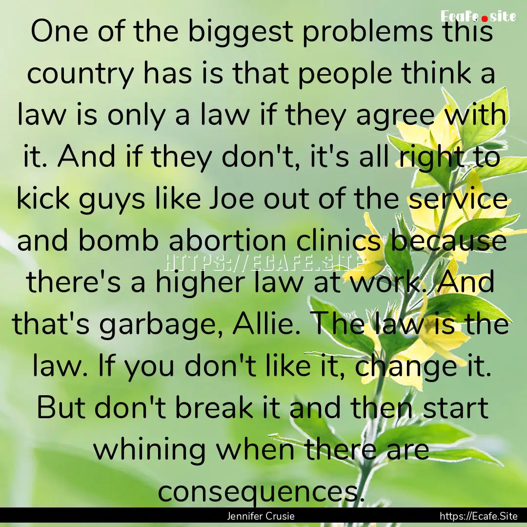 One of the biggest problems this country.... : Quote by Jennifer Crusie