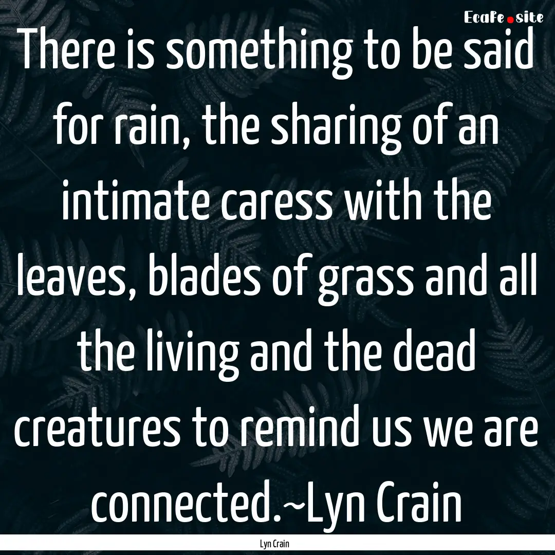 There is something to be said for rain, the.... : Quote by Lyn Crain