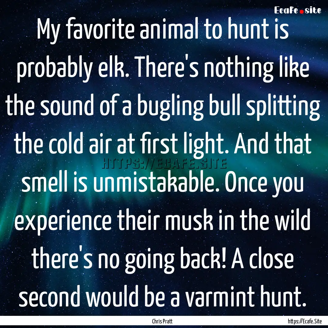 My favorite animal to hunt is probably elk..... : Quote by Chris Pratt