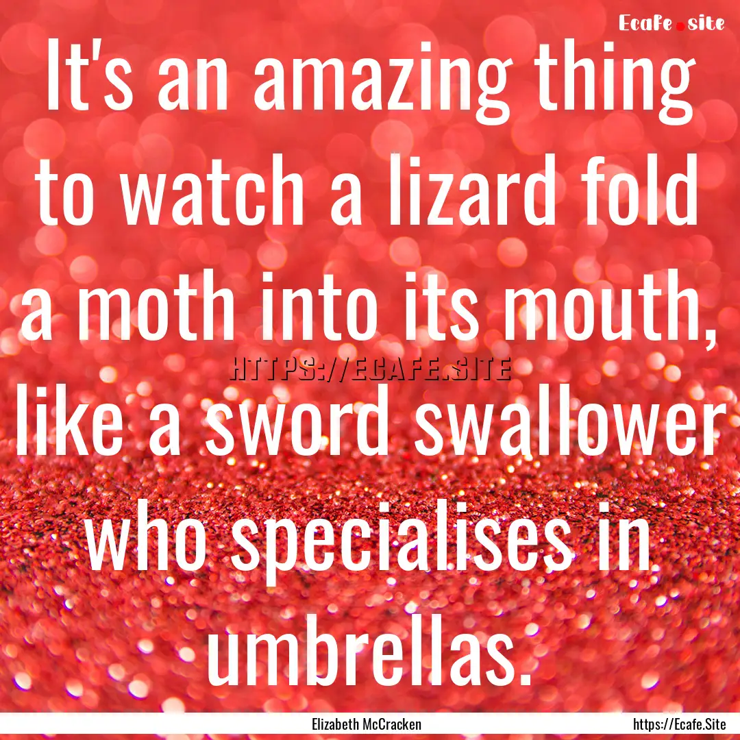 It's an amazing thing to watch a lizard fold.... : Quote by Elizabeth McCracken