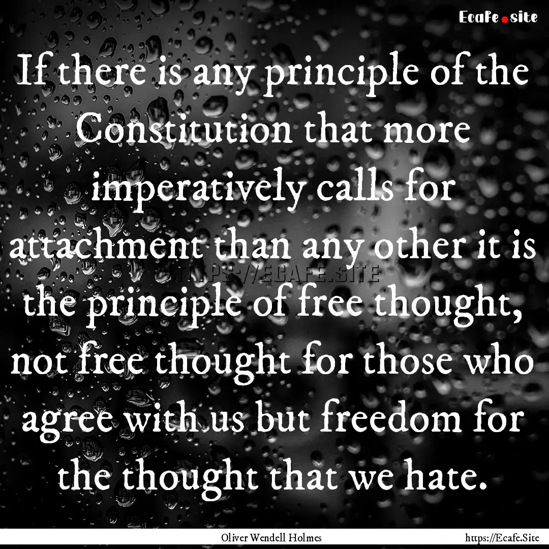 If there is any principle of the Constitution.... : Quote by Oliver Wendell Holmes