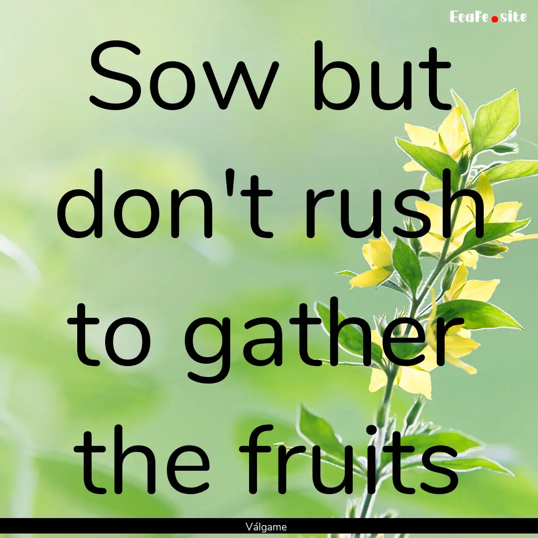 Sow but don't rush to gather the fruits : Quote by Válgame