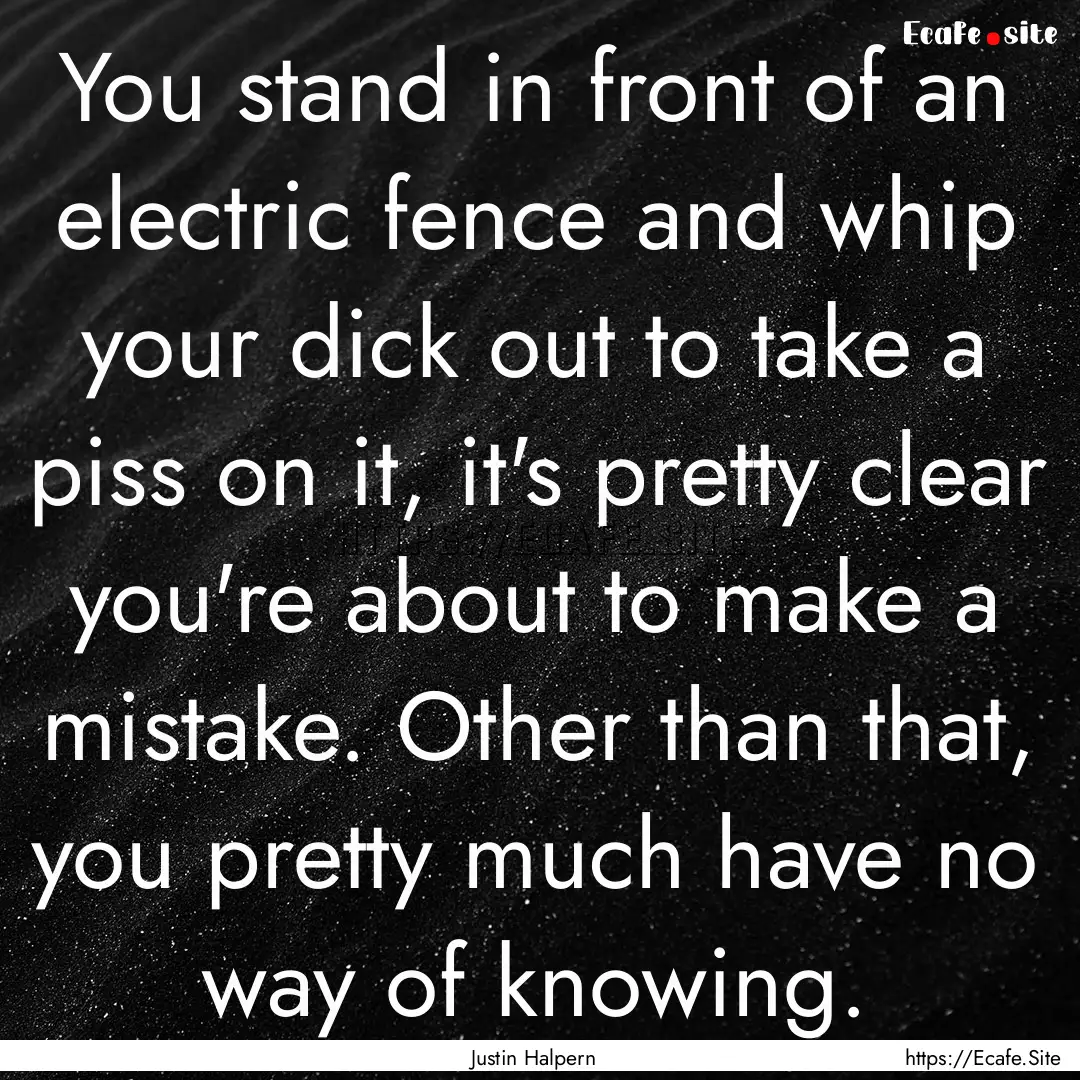 You stand in front of an electric fence and.... : Quote by Justin Halpern