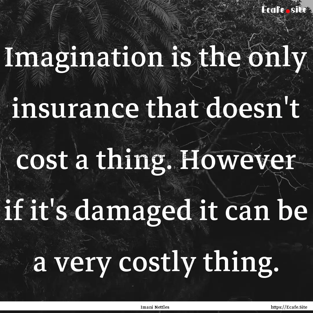 Imagination is the only insurance that doesn't.... : Quote by Imani Nettles