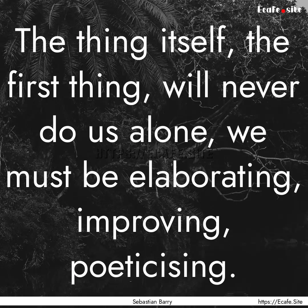 The thing itself, the first thing, will never.... : Quote by Sebastian Barry