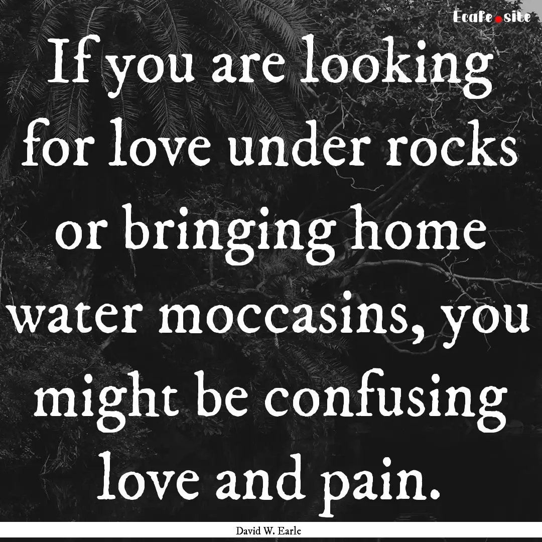 If you are looking for love under rocks or.... : Quote by David W. Earle