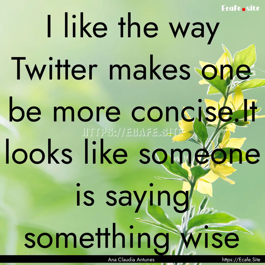 I like the way Twitter makes one be more.... : Quote by Ana Claudia Antunes