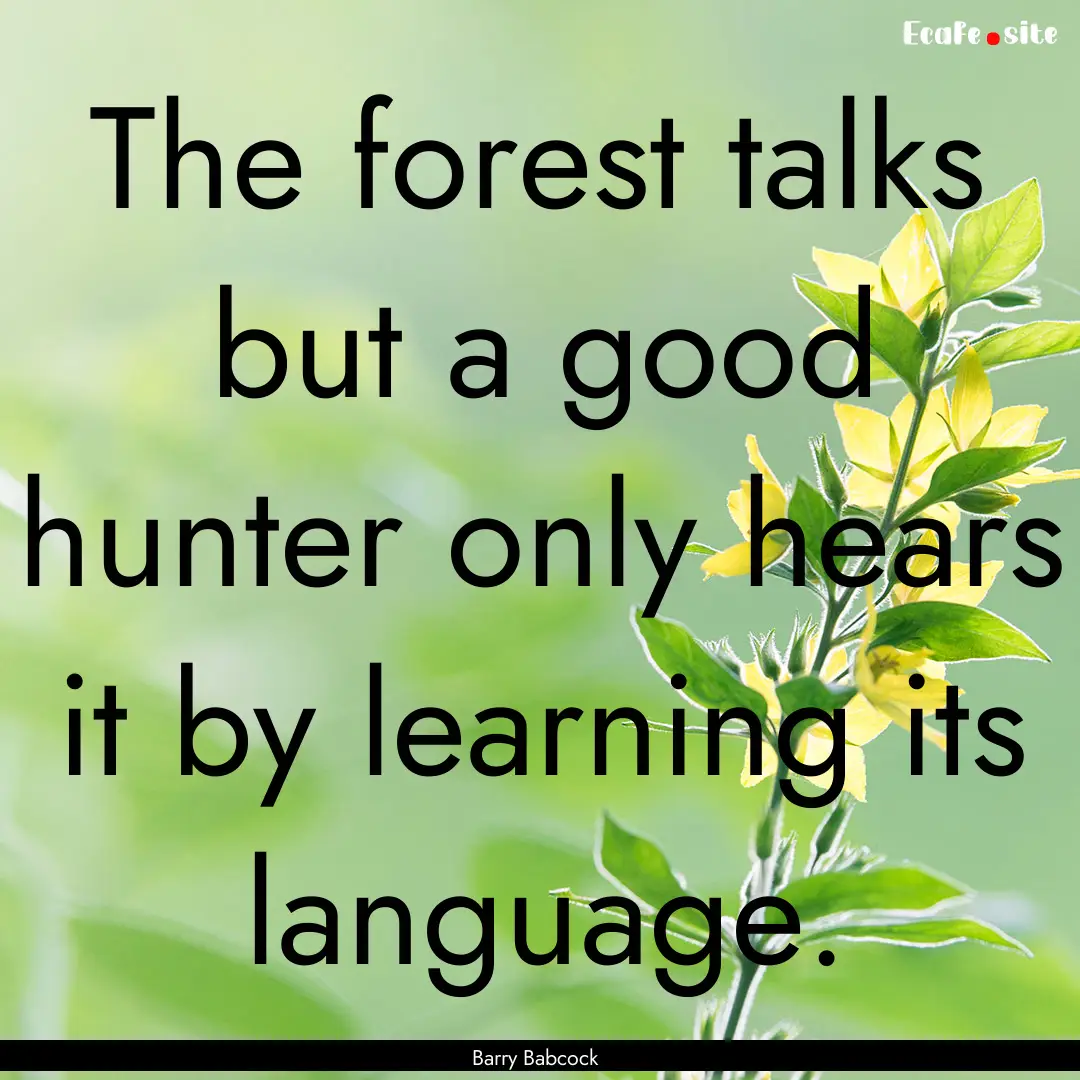 The forest talks but a good hunter only hears.... : Quote by Barry Babcock