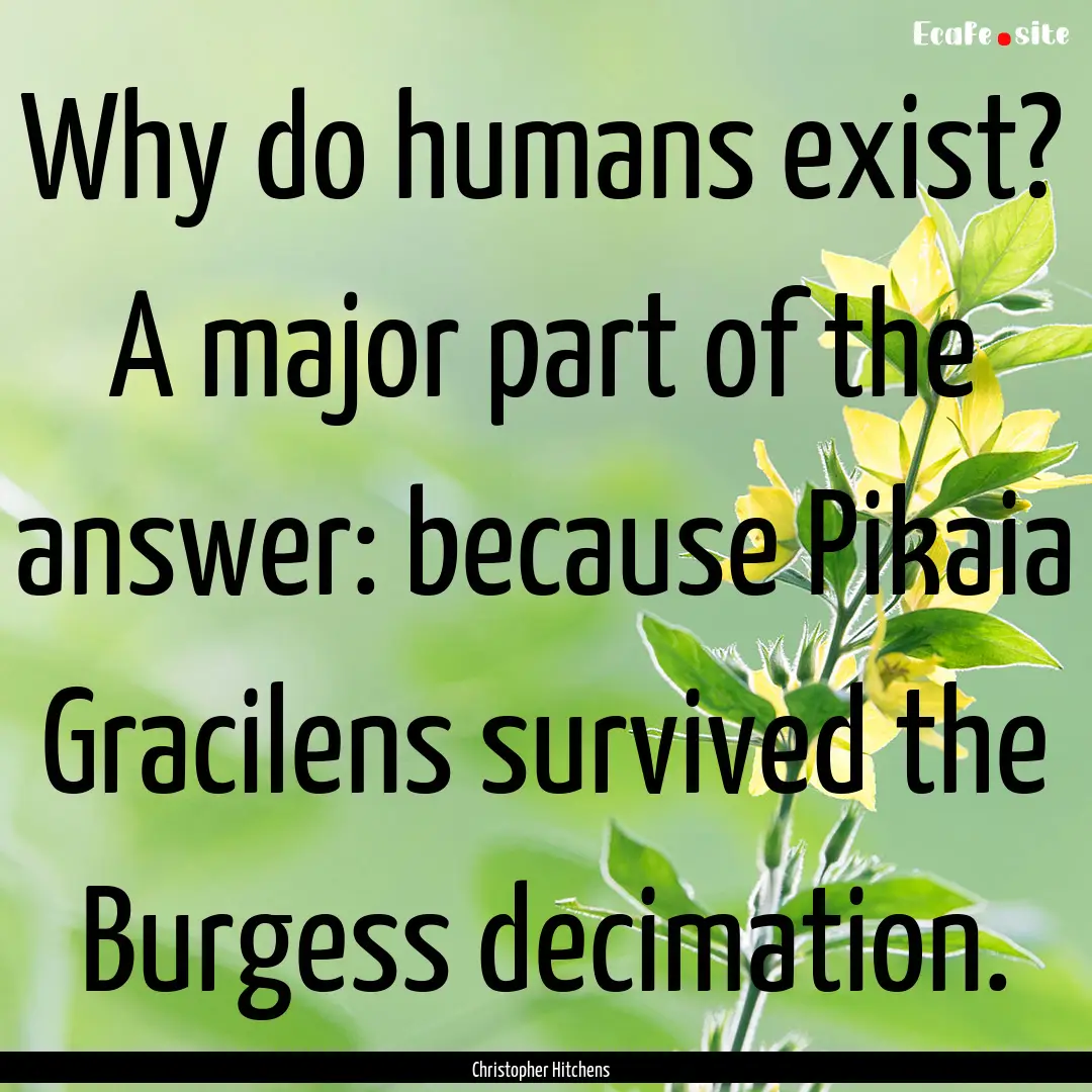 Why do humans exist? A major part of the.... : Quote by Christopher Hitchens