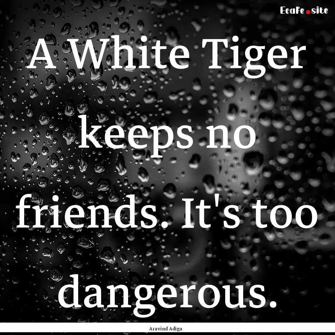 A White Tiger keeps no friends. It's too.... : Quote by Aravind Adiga