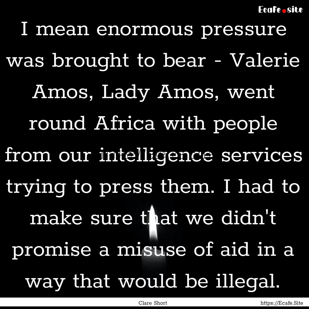 I mean enormous pressure was brought to bear.... : Quote by Clare Short