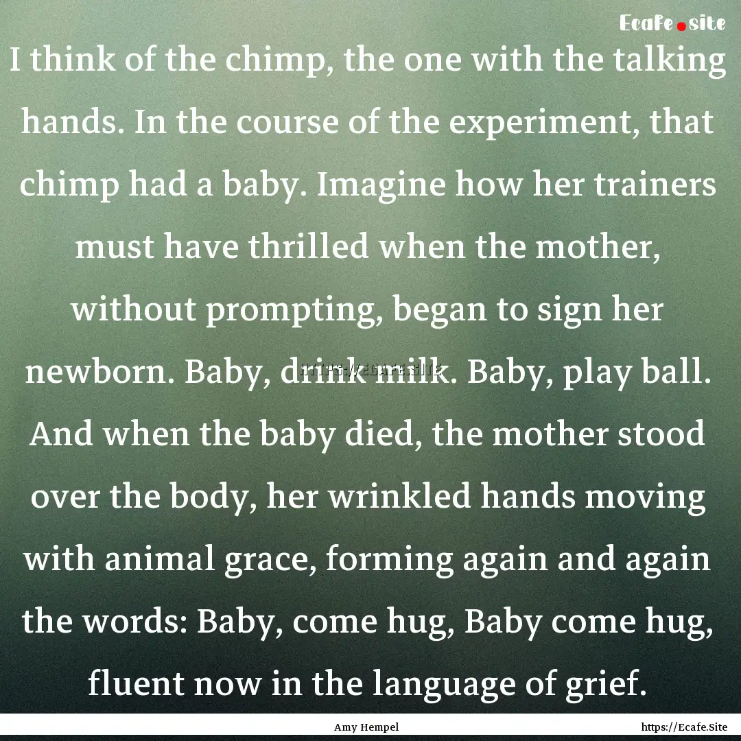  I think of the chimp, the one with the talking.... : Quote by Amy Hempel