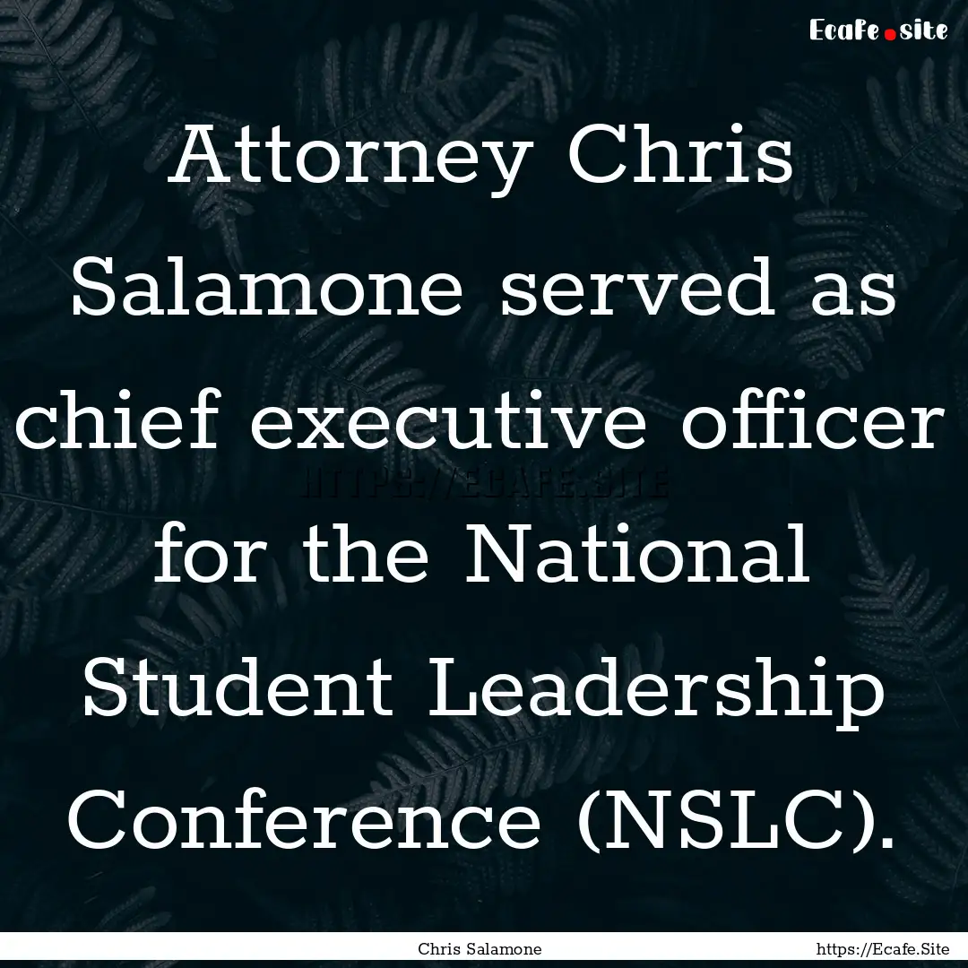 Attorney Chris Salamone served as chief executive.... : Quote by Chris Salamone