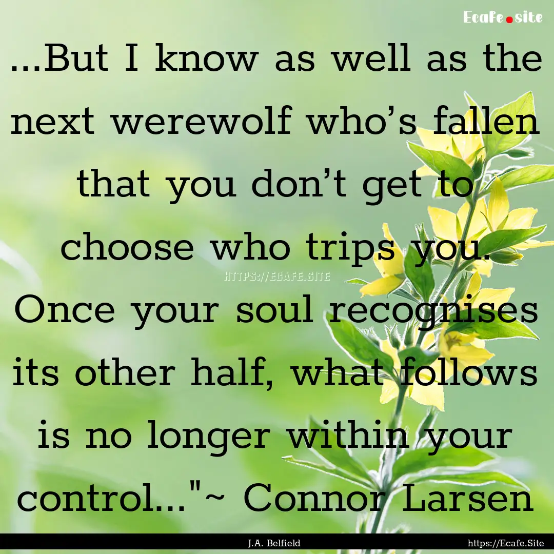 ...But I know as well as the next werewolf.... : Quote by J.A. Belfield