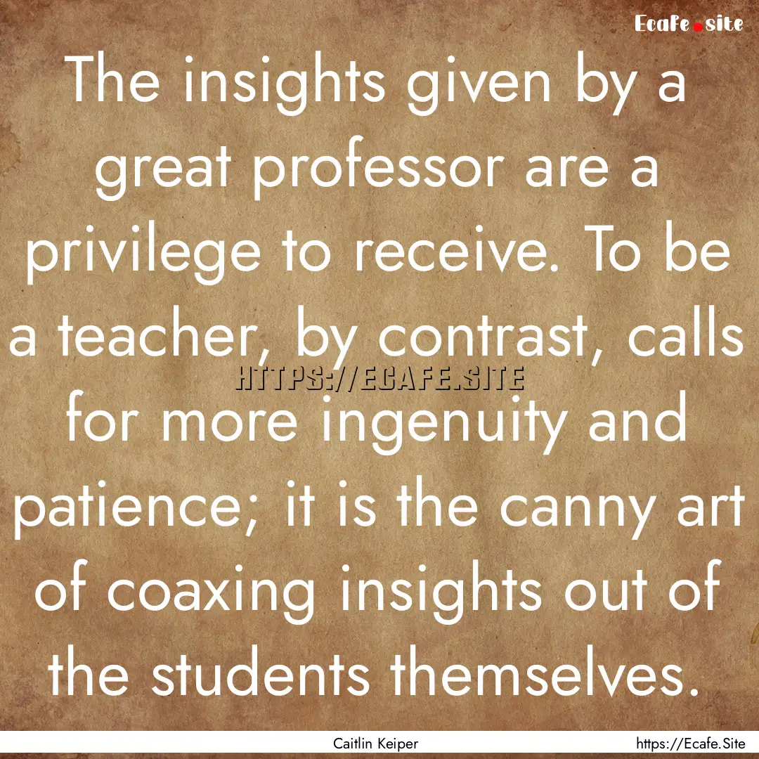 The insights given by a great professor are.... : Quote by Caitlin Keiper