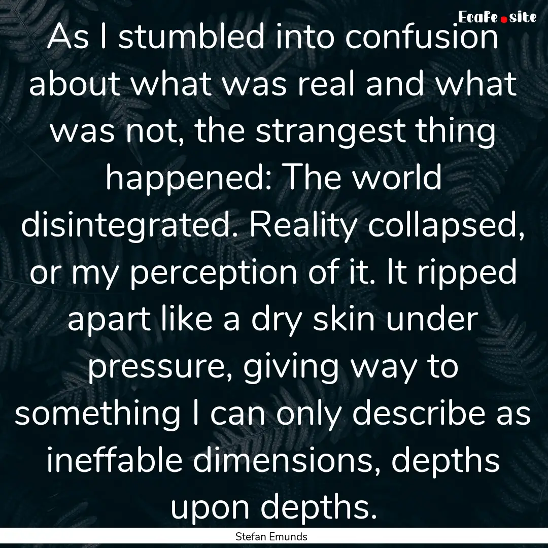 As I stumbled into confusion about what was.... : Quote by Stefan Emunds