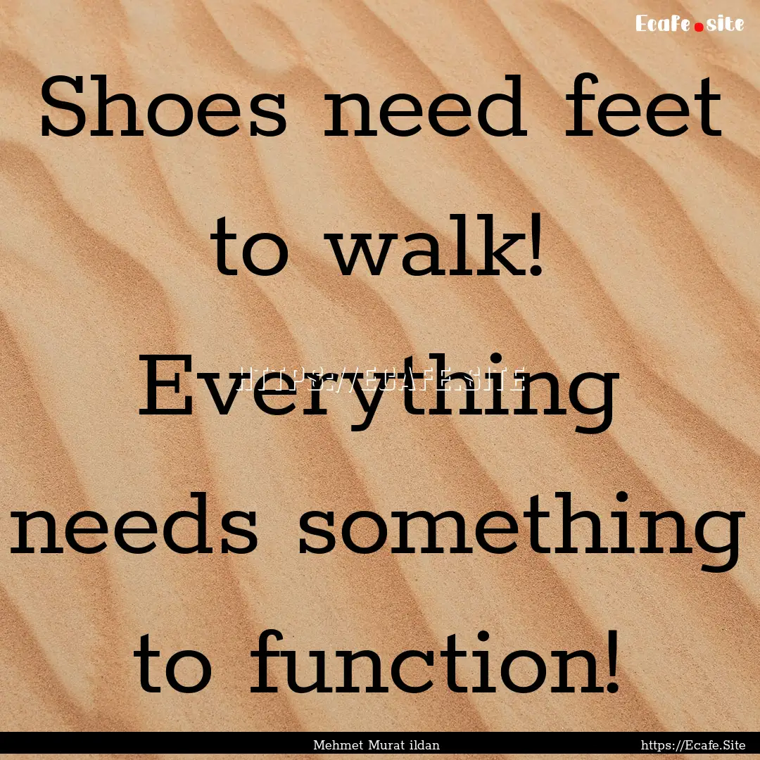 Shoes need feet to walk! Everything needs.... : Quote by Mehmet Murat ildan