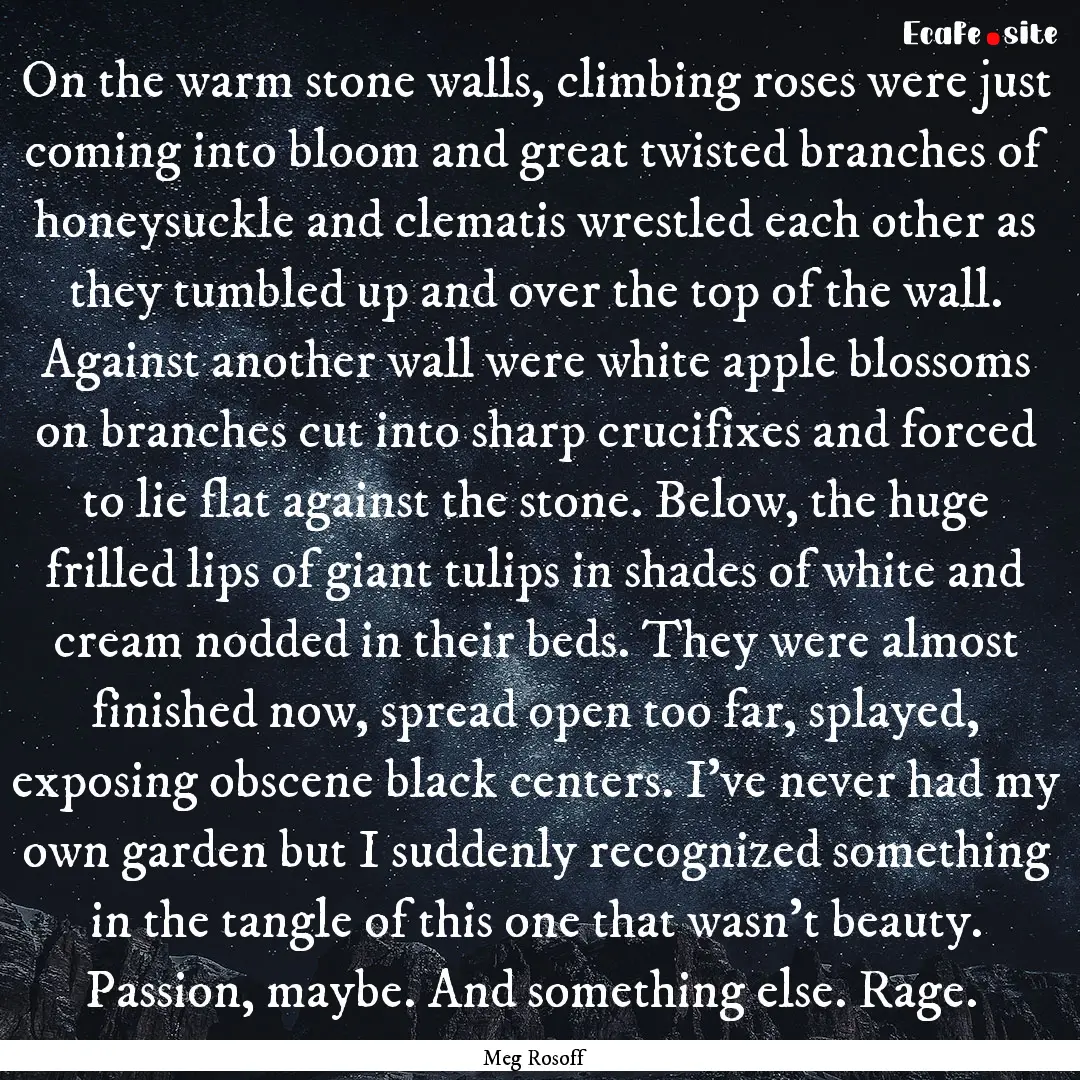 On the warm stone walls, climbing roses were.... : Quote by Meg Rosoff