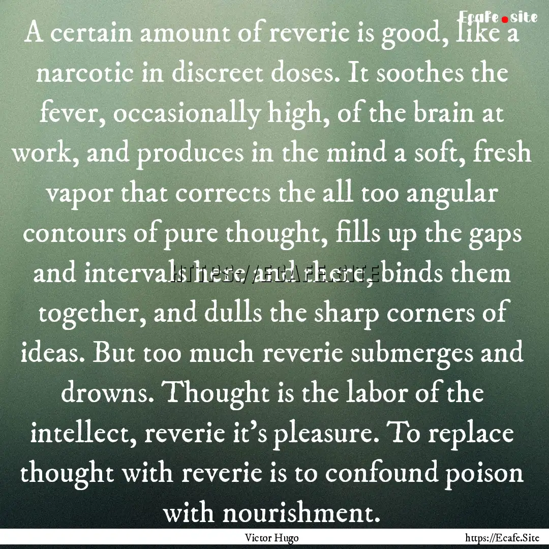 A certain amount of reverie is good, like.... : Quote by Victor Hugo