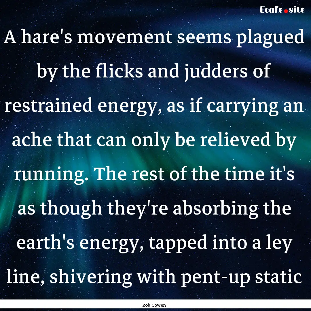 A hare's movement seems plagued by the flicks.... : Quote by Rob Cowen