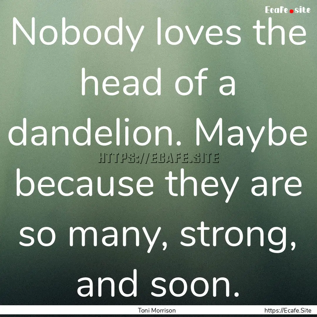 Nobody loves the head of a dandelion. Maybe.... : Quote by Toni Morrison