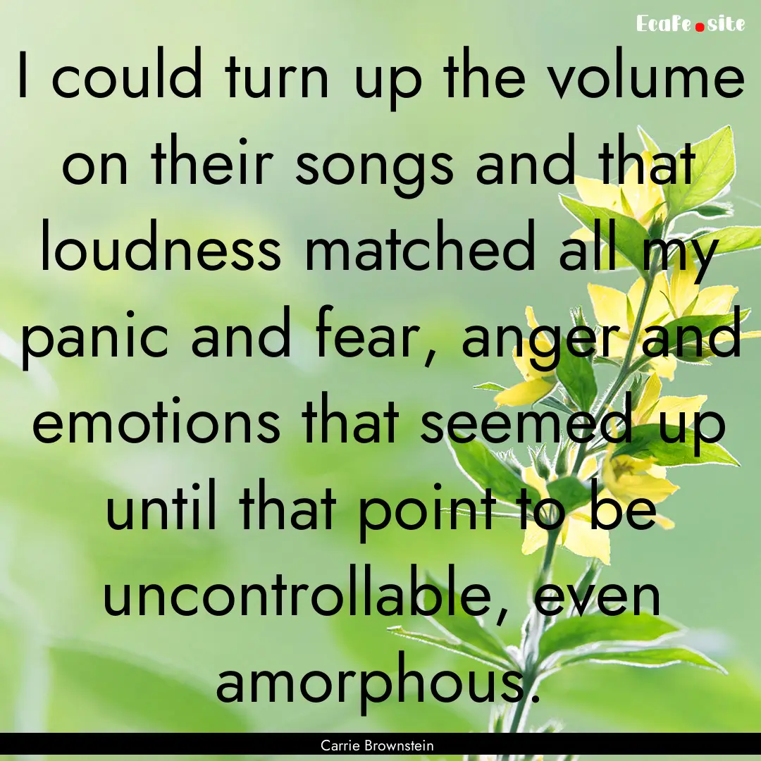 I could turn up the volume on their songs.... : Quote by Carrie Brownstein