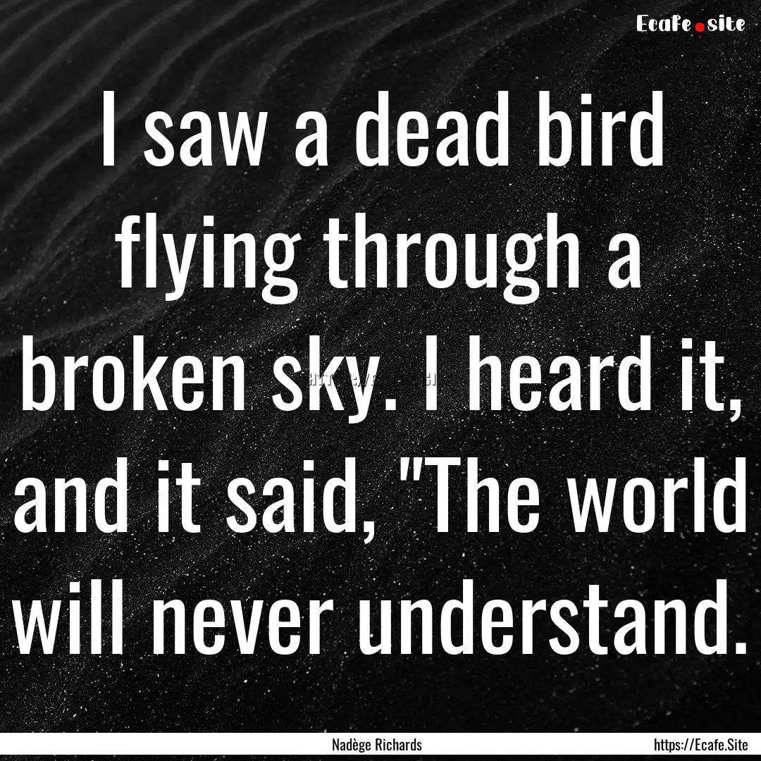 I saw a dead bird flying through a broken.... : Quote by Nadège Richards