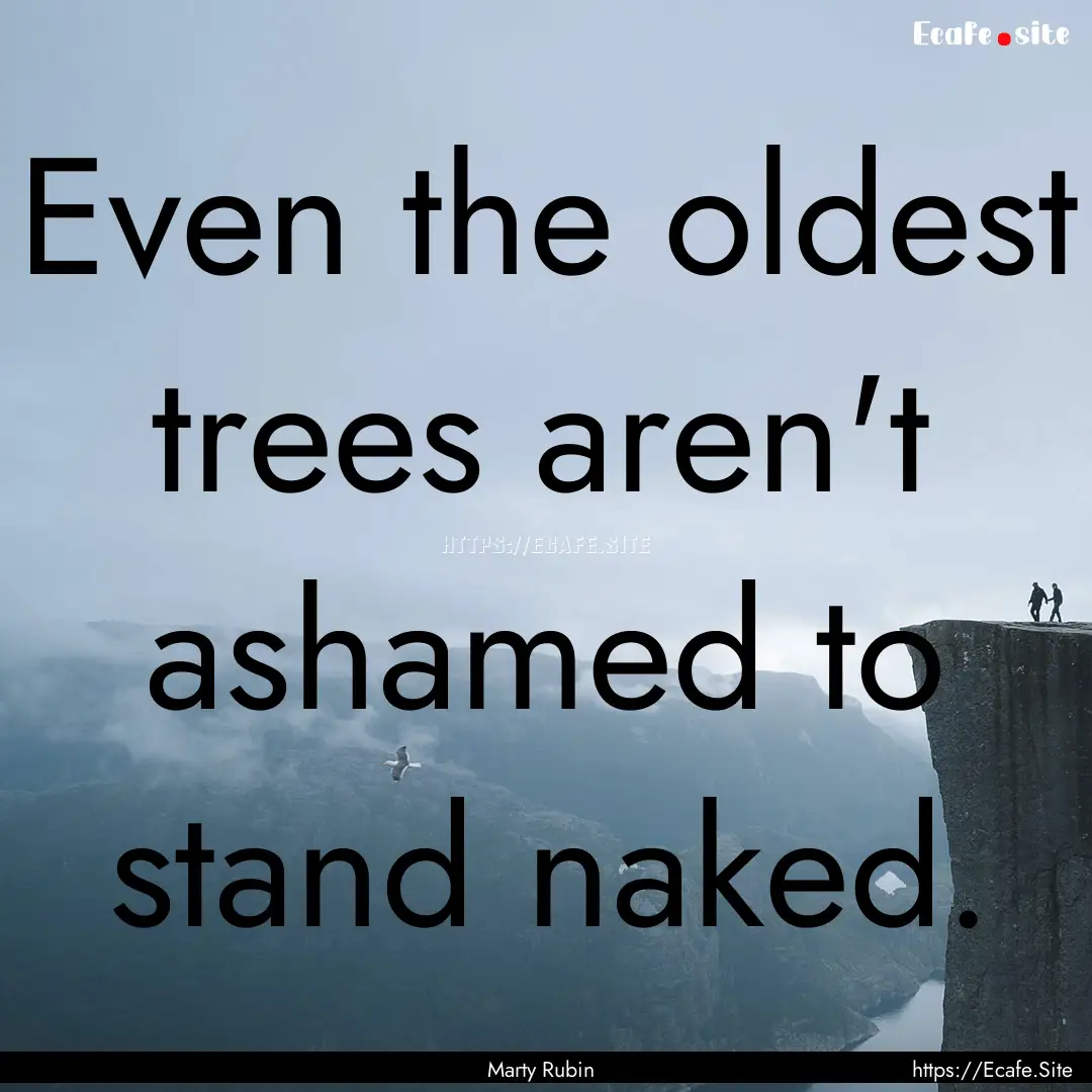 Even the oldest trees aren't ashamed to stand.... : Quote by Marty Rubin