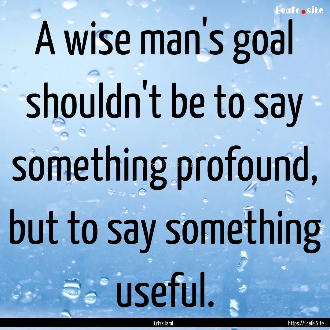 A wise man's goal shouldn't be to say something.... : Quote by Criss Jami